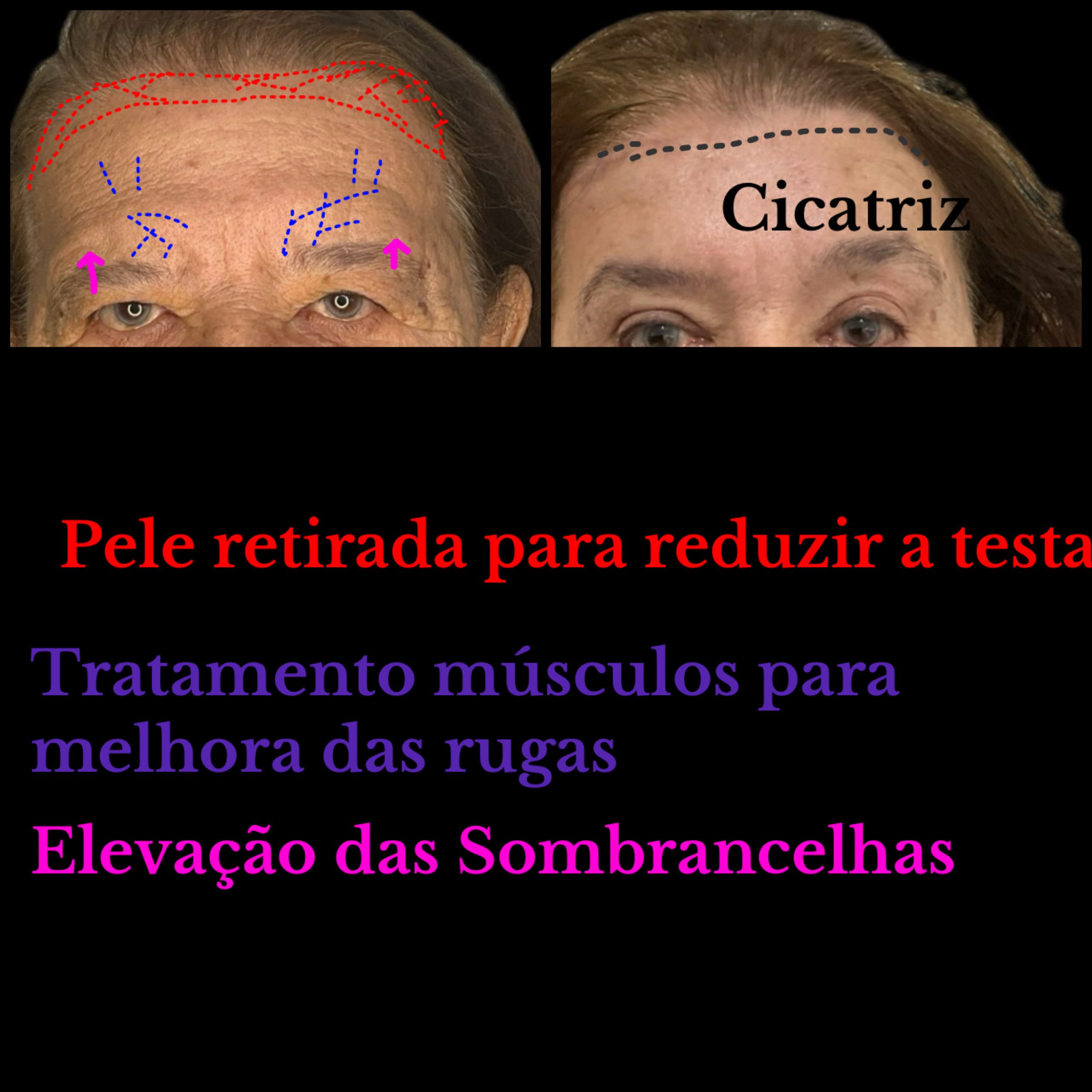 created by photogrid